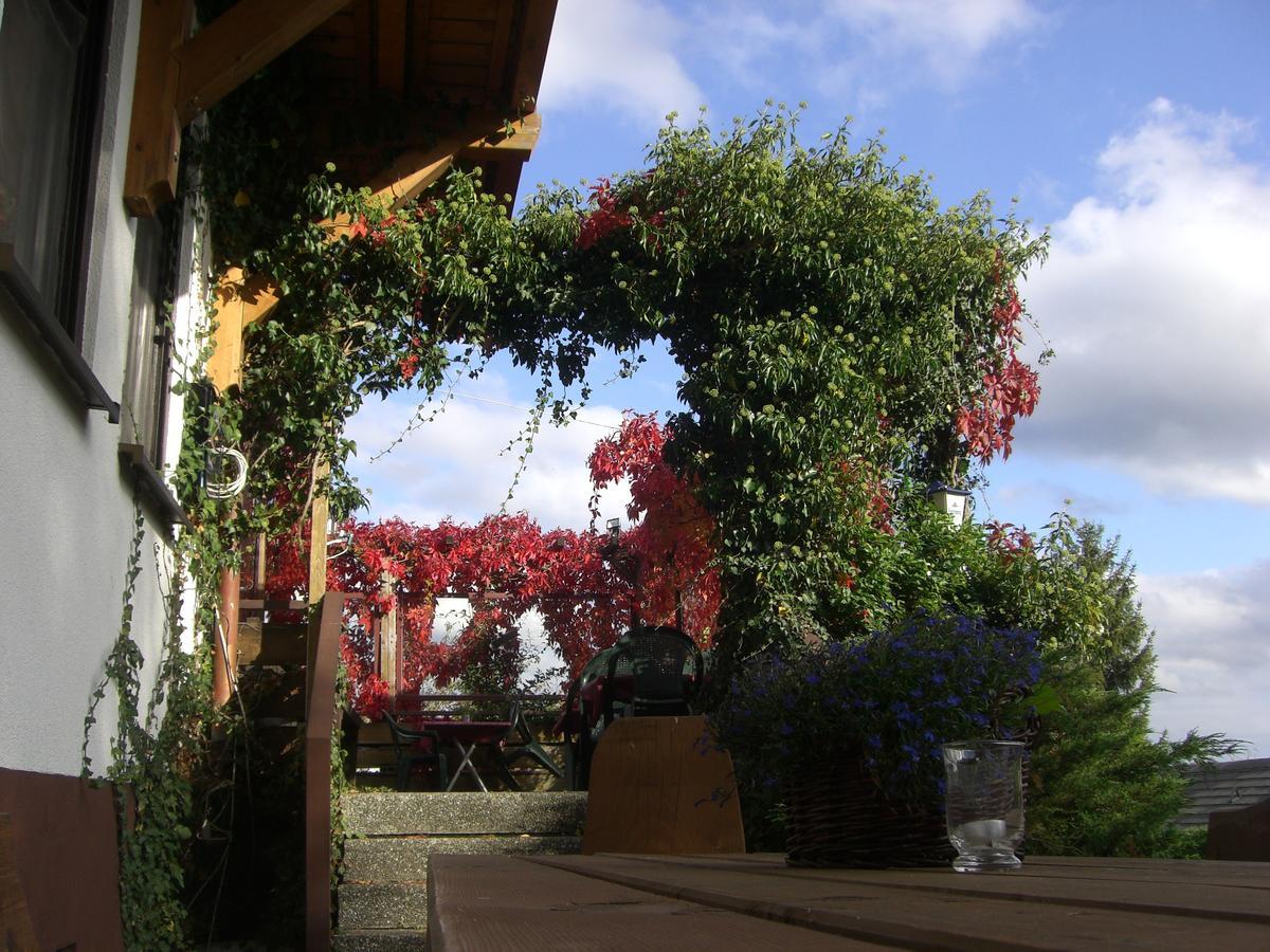 Hotel Dachsberger-Hof Wittenschwand Eksteriør bilde