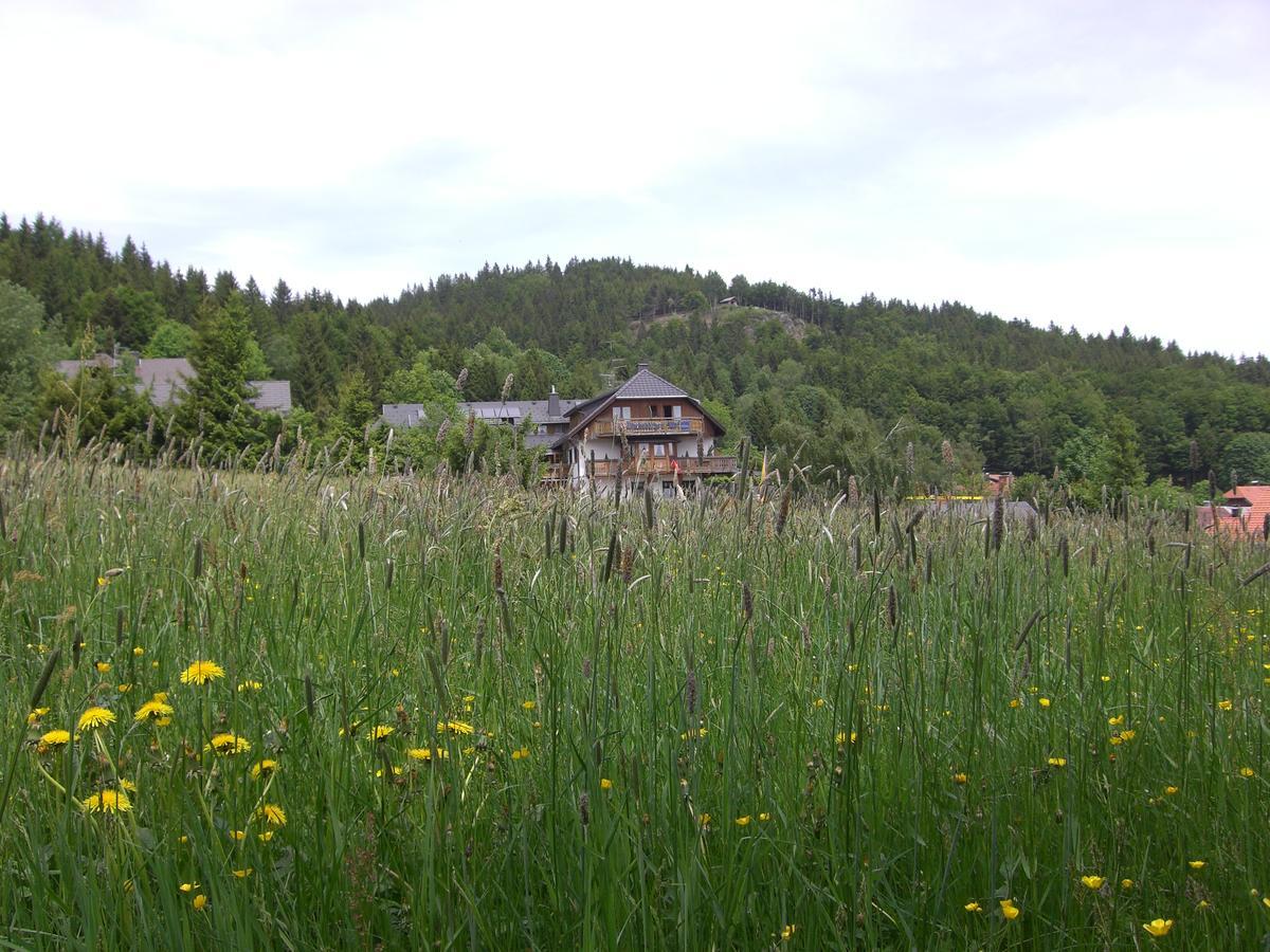 Hotel Dachsberger-Hof Wittenschwand Eksteriør bilde