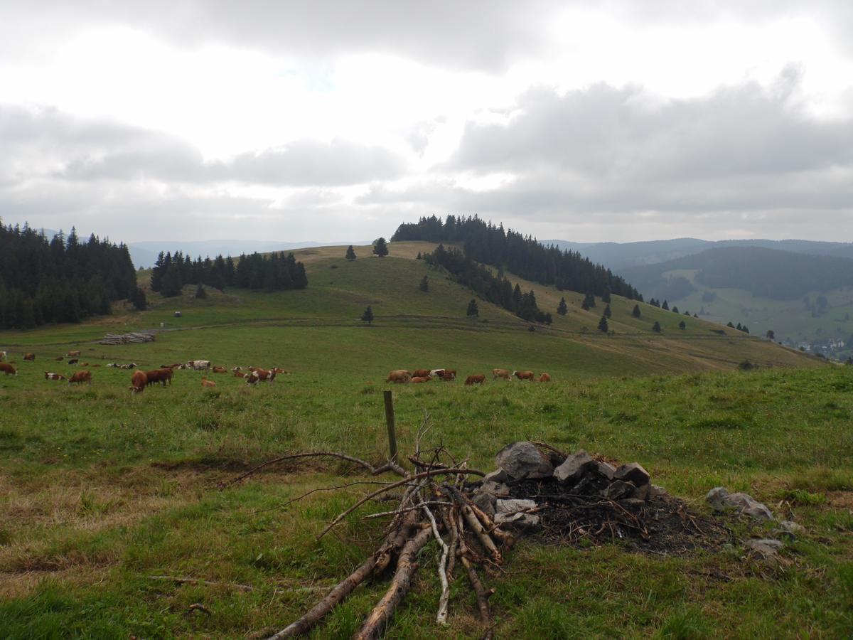 Hotel Dachsberger-Hof Wittenschwand Eksteriør bilde