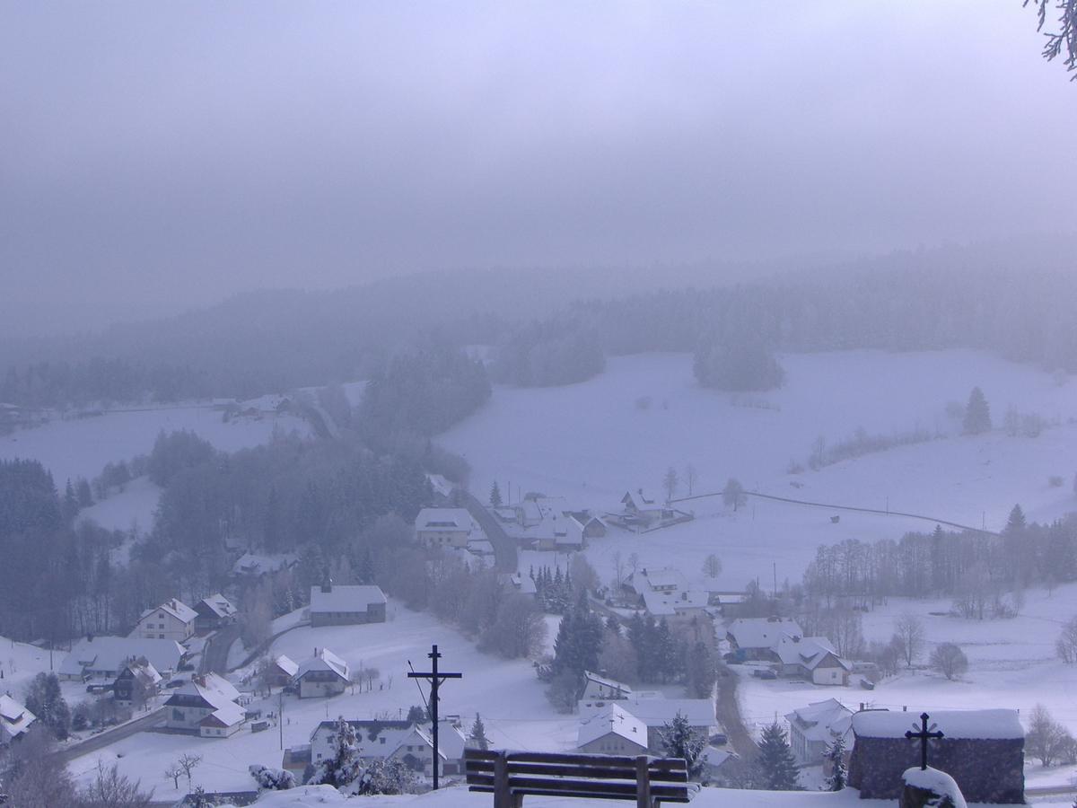 Hotel Dachsberger-Hof Wittenschwand Eksteriør bilde